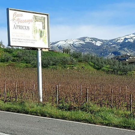 La Loggetta Di Apricus Villa Olevano Romano Buitenkant foto