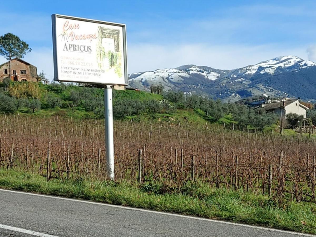 La Loggetta Di Apricus Villa Olevano Romano Buitenkant foto